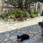 Hotel Aleks
