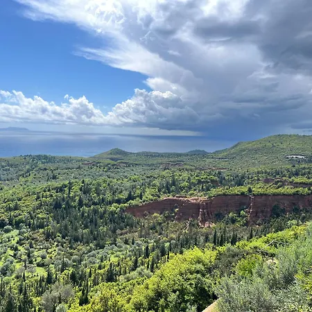 ホテル Aleks Vuno